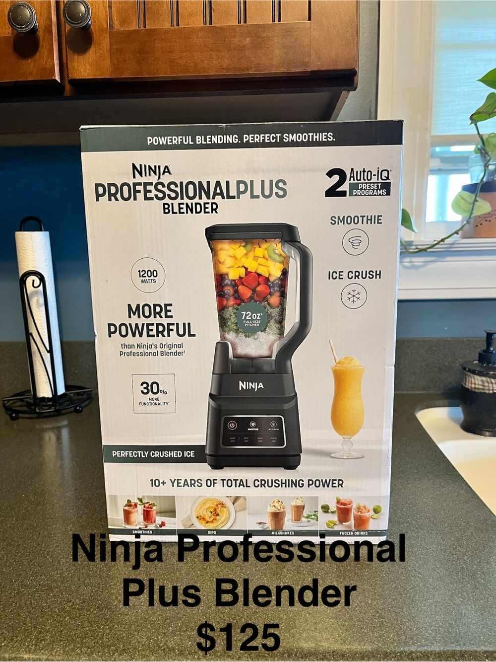 Ninja Professional Plus Blender in Black and Silver